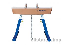 Bänfer Junior Pauschenpferd